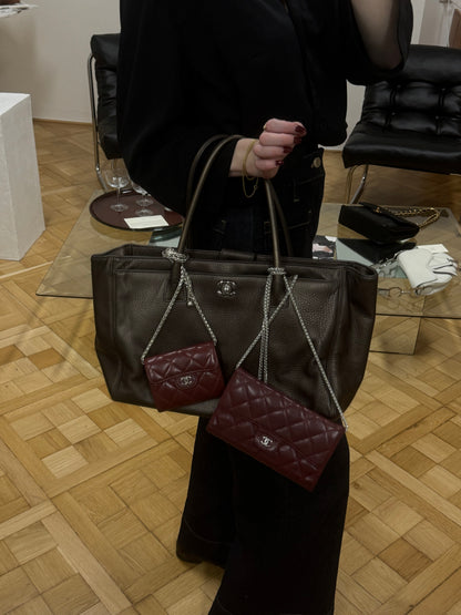 CHANEL EXECUTIVE TOTE IRIDESCENT BROWN SILVER HW